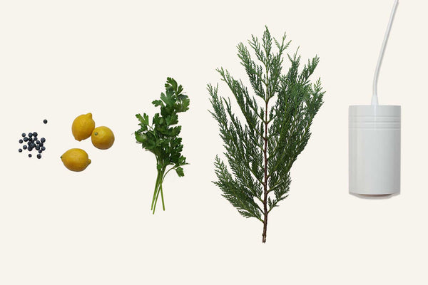 Learn What You Can Grow With The Aspect | Soltech Solutions
