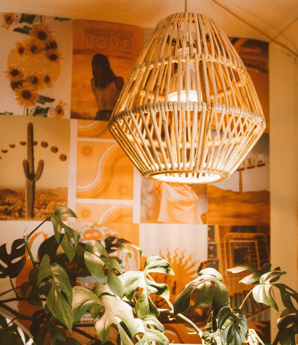 The Latest Interior Design Trends for Indoor Gardens - Soltech