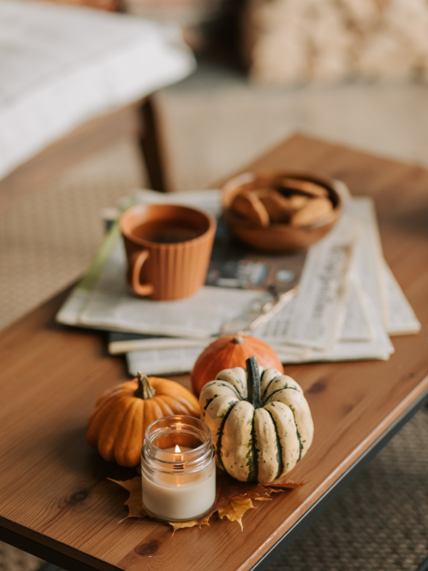 Prime Fall Crops 2023: Improve Your Indoor Backyard with Seasonal