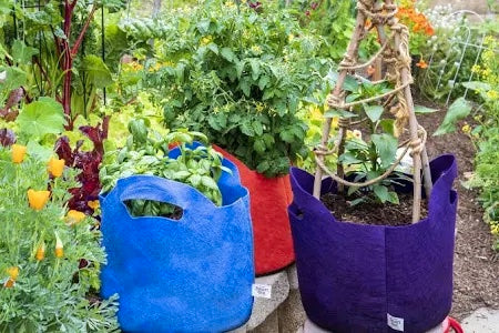 Smart Pots for Indoor Plants