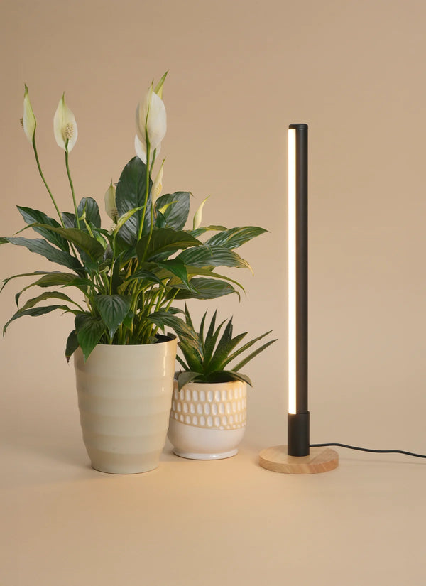 Make stuff'ていらチノワークサロペット オフホワイトBD（ストライプ） Grove Grow Light with Alta Vertical Stand Set - Soltech