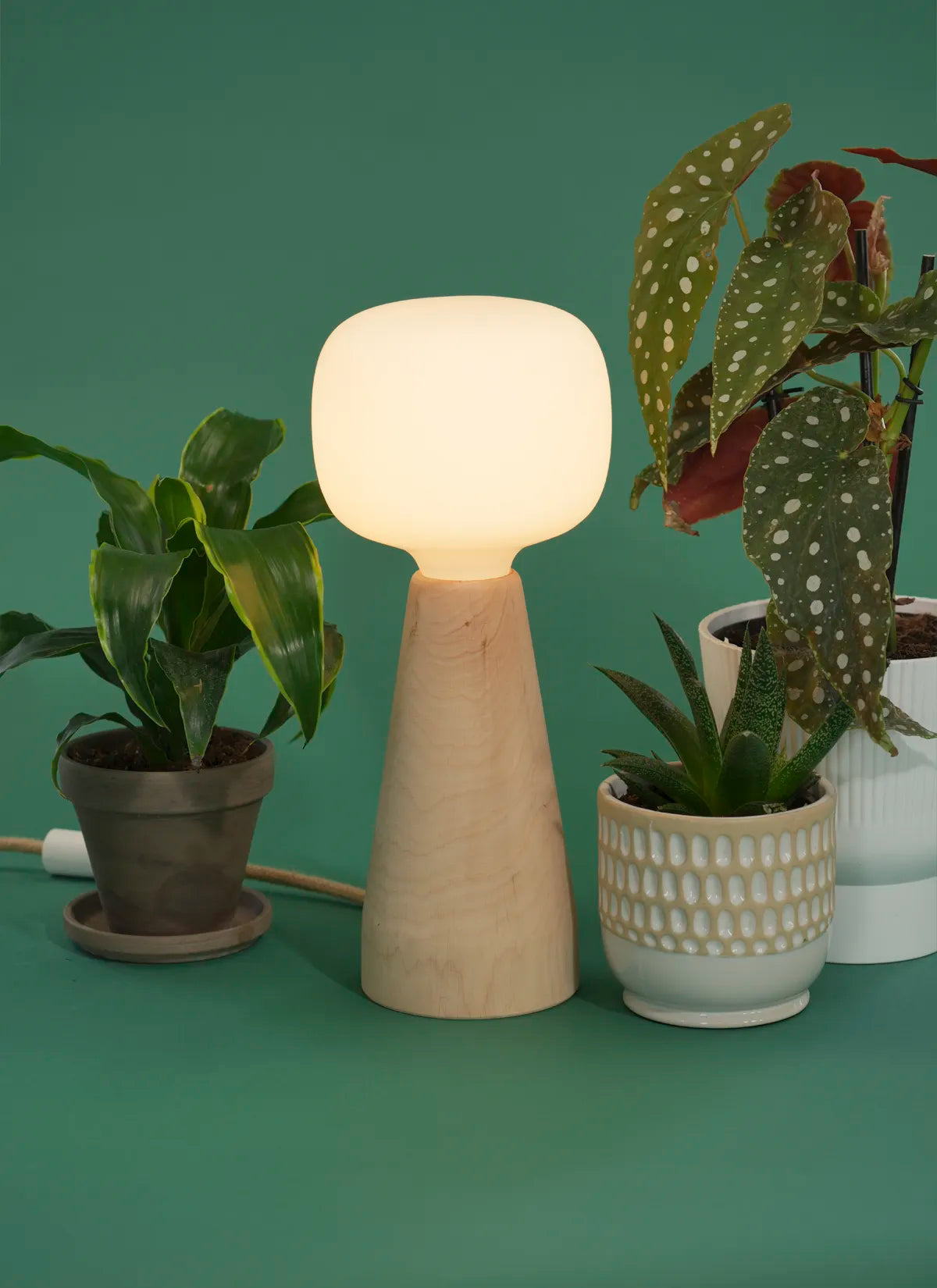 Soltech Aura surrounded by potted plants on a green background