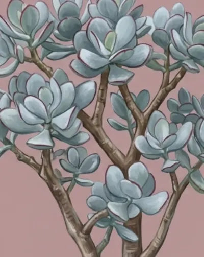 jade plant silver leaves Silver Jade Plant Care Guide - How to Grow Crassula arborescens