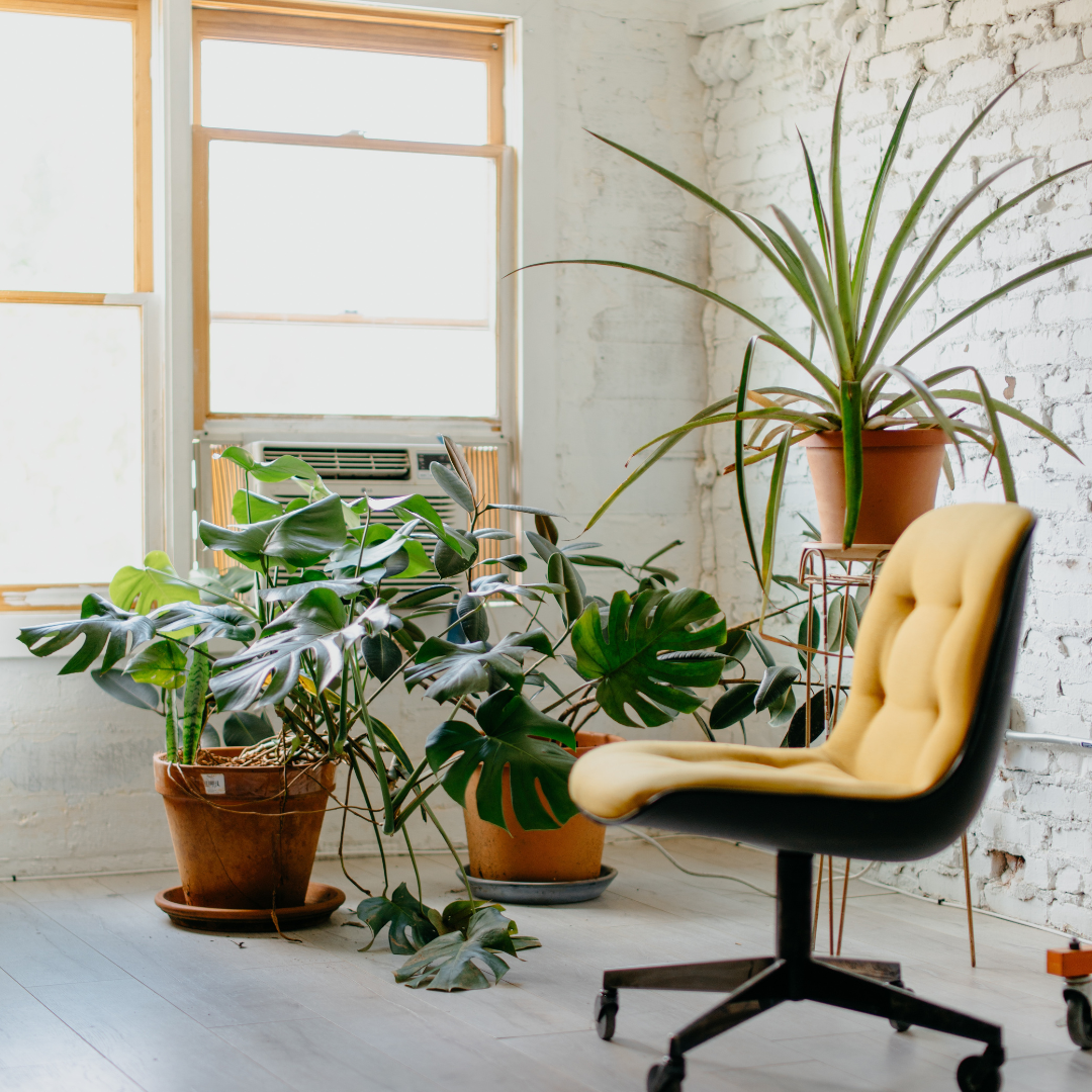 Interior Design Trends For The Future: Plants And Greenery and It's Effect on Consumers