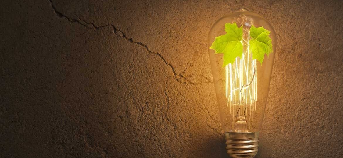 Meet the Aspect | Revolutionary Designer Grow Light for Indoor Plants 2017
