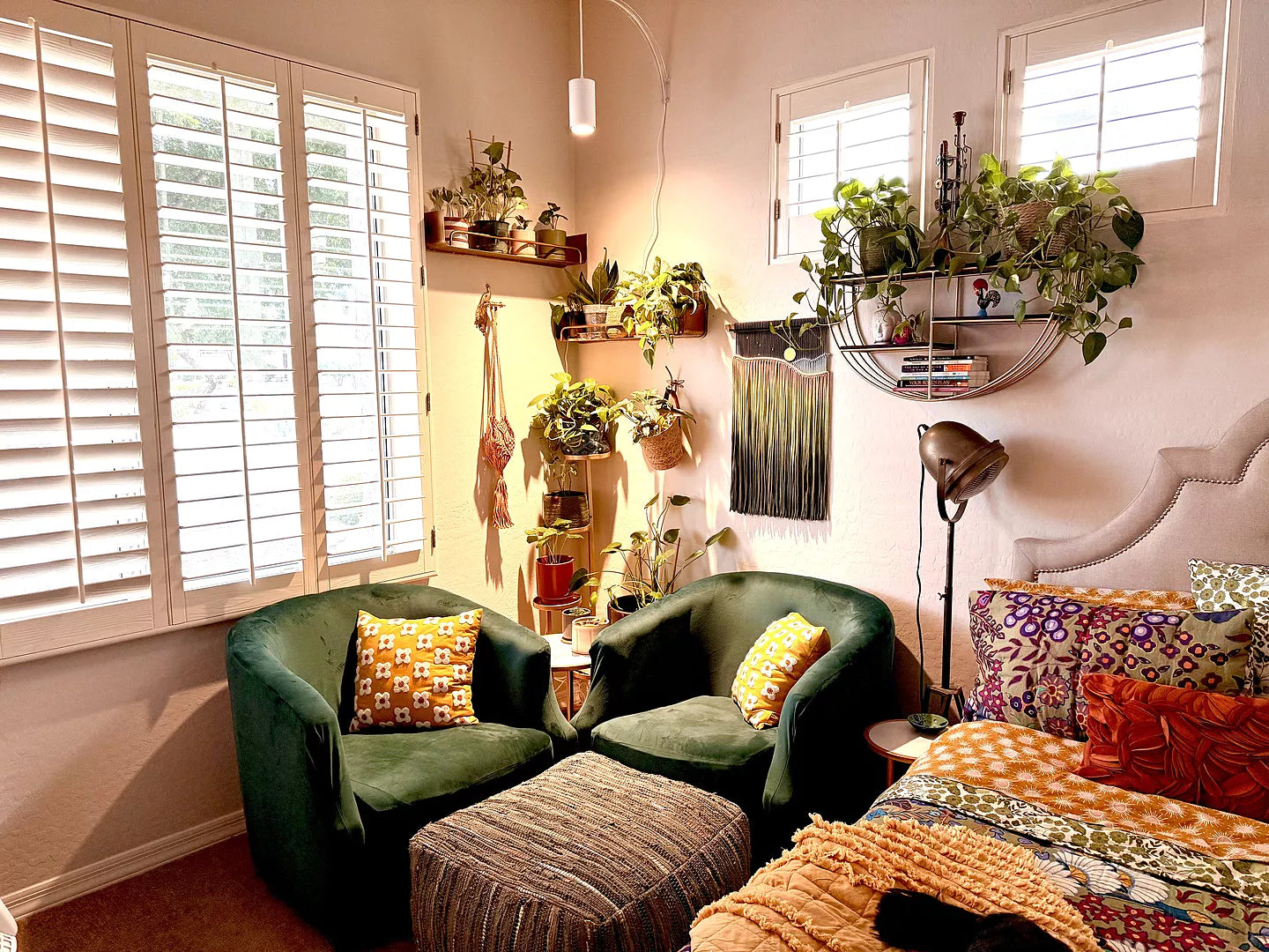 Your Go-To Soltech Resources for Houseplant Care