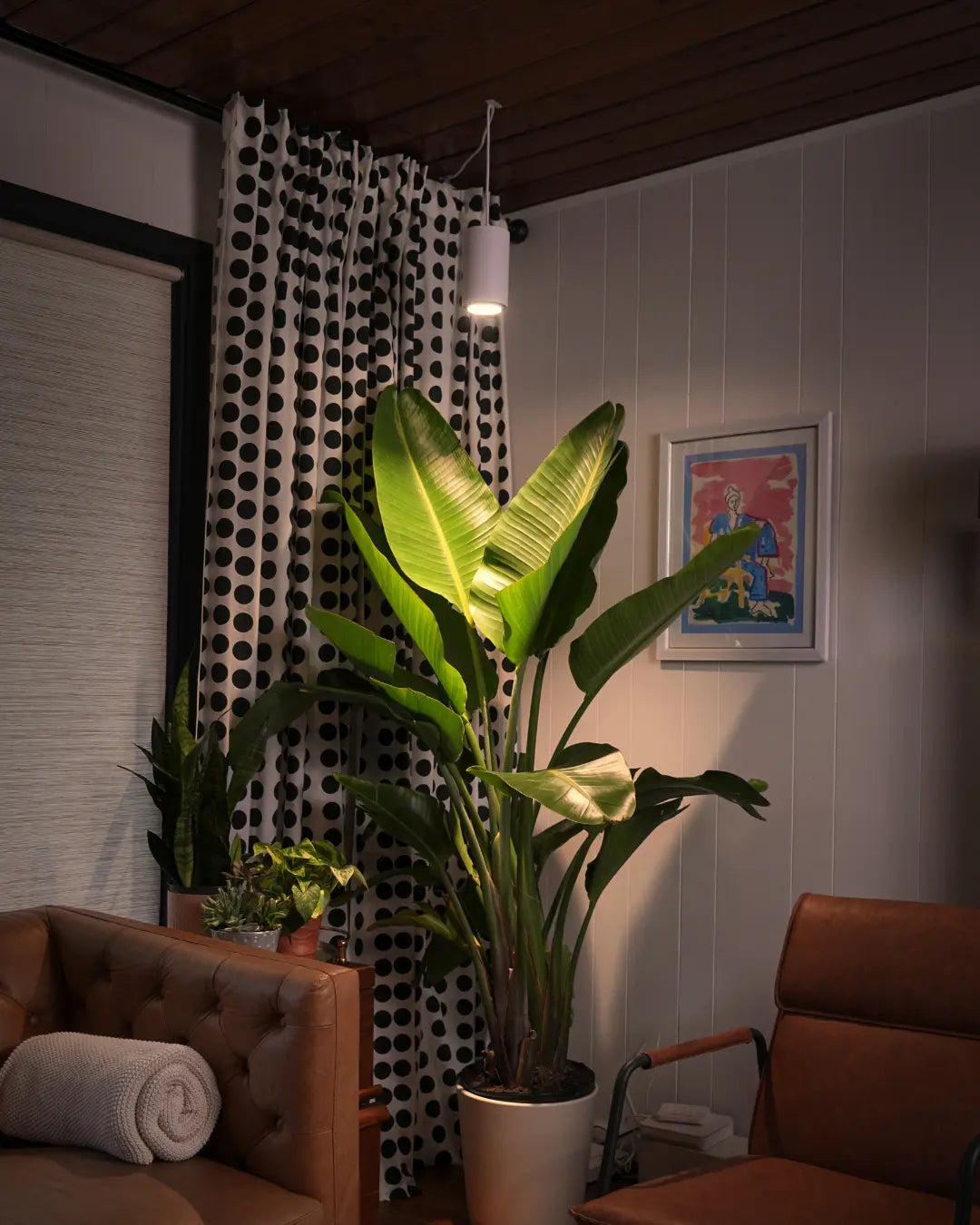 Types of bulbs and fixtures: what mimics daylight best