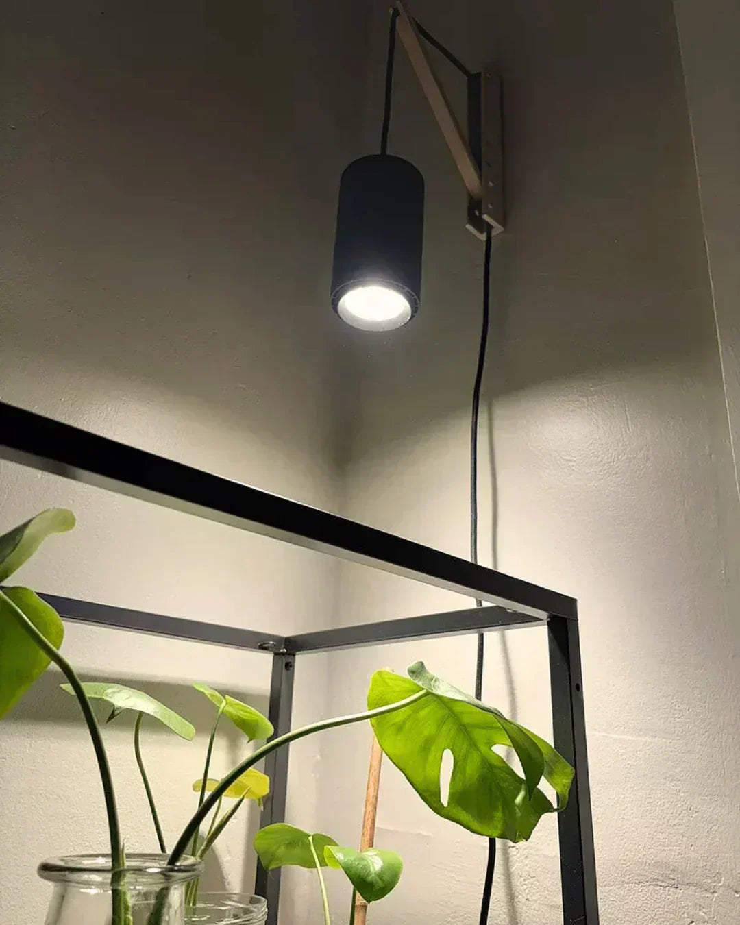 Grow Lights vs. Natural Sunlight: Do Plants Actually Know the Difference?