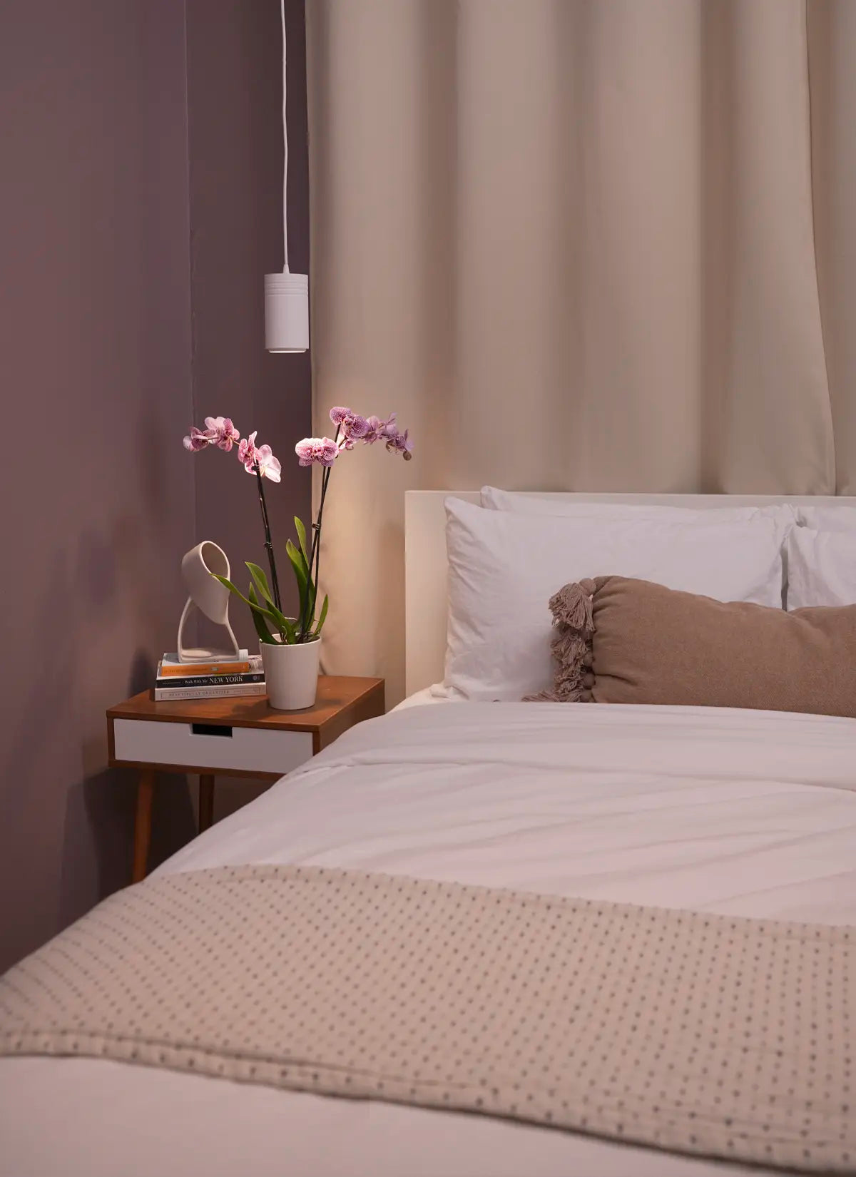 Best Plants for a Modern Bedroom (And How to Style Them)