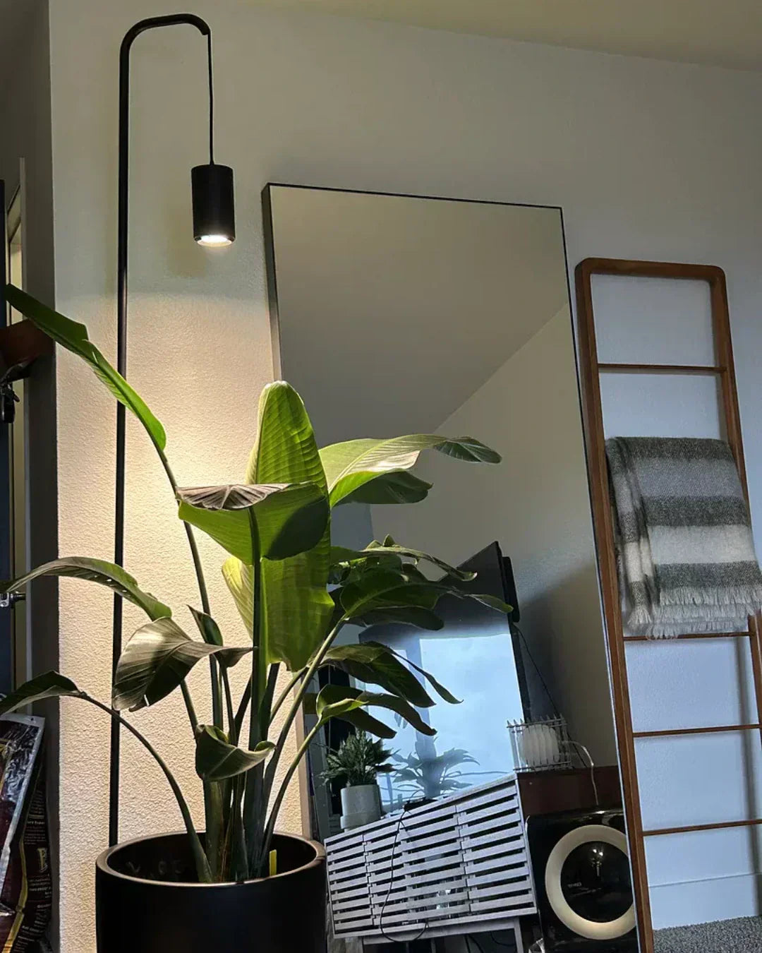 What Is a Full-Spectrum Grow Light? (And Why It Matters for Your Plants)