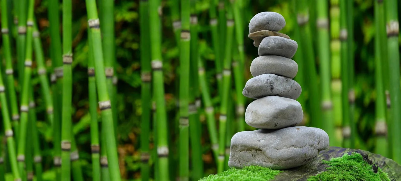Stacked stones on moss create a calming, zen-like scene against a backdrop of tall, vibrant green bamboo, conveying tranquility and balance.