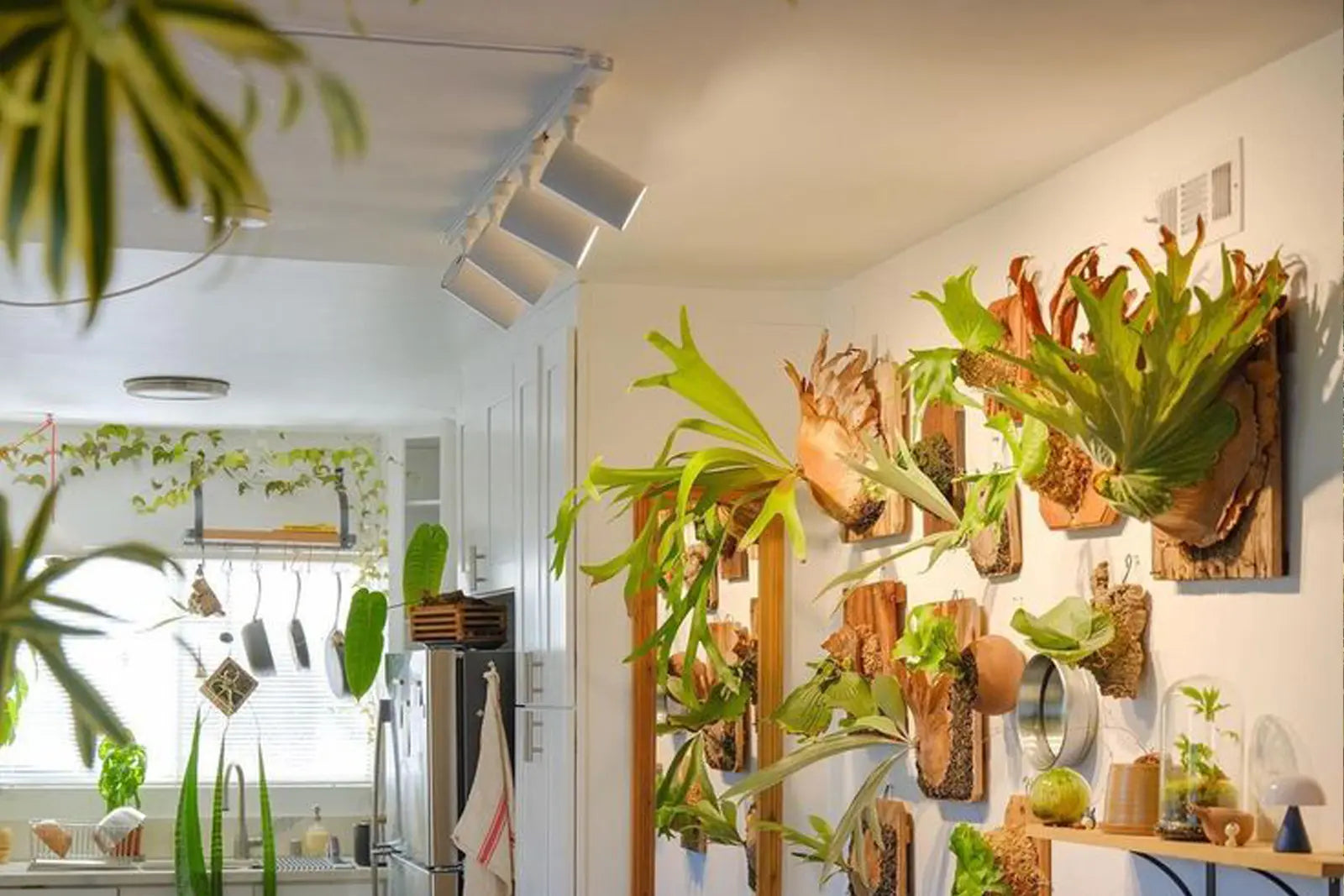 How to Set Up a Plant Wall Indoors (That Actually Thrives)