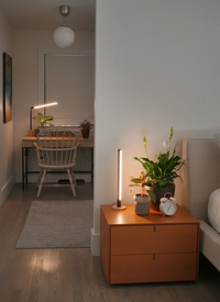 3 Ways to Bring Warm Wood Tones Into Your Plant Setup This Fall