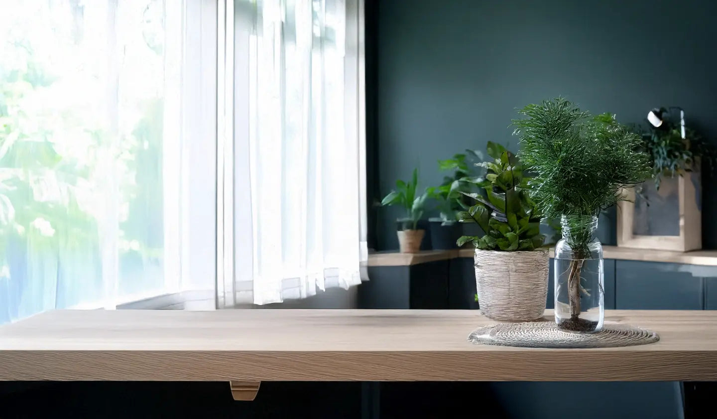 The Complete Guide to Growing Plants in Rooms With No Windows