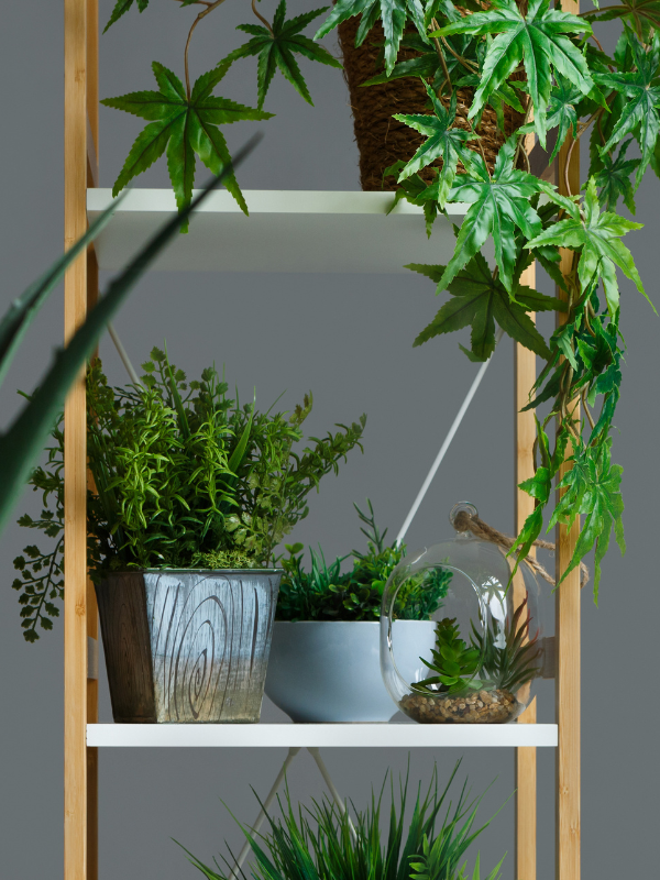Choosing the Perfect Houseplant Stand: Types, Styles, and Placement Tips
