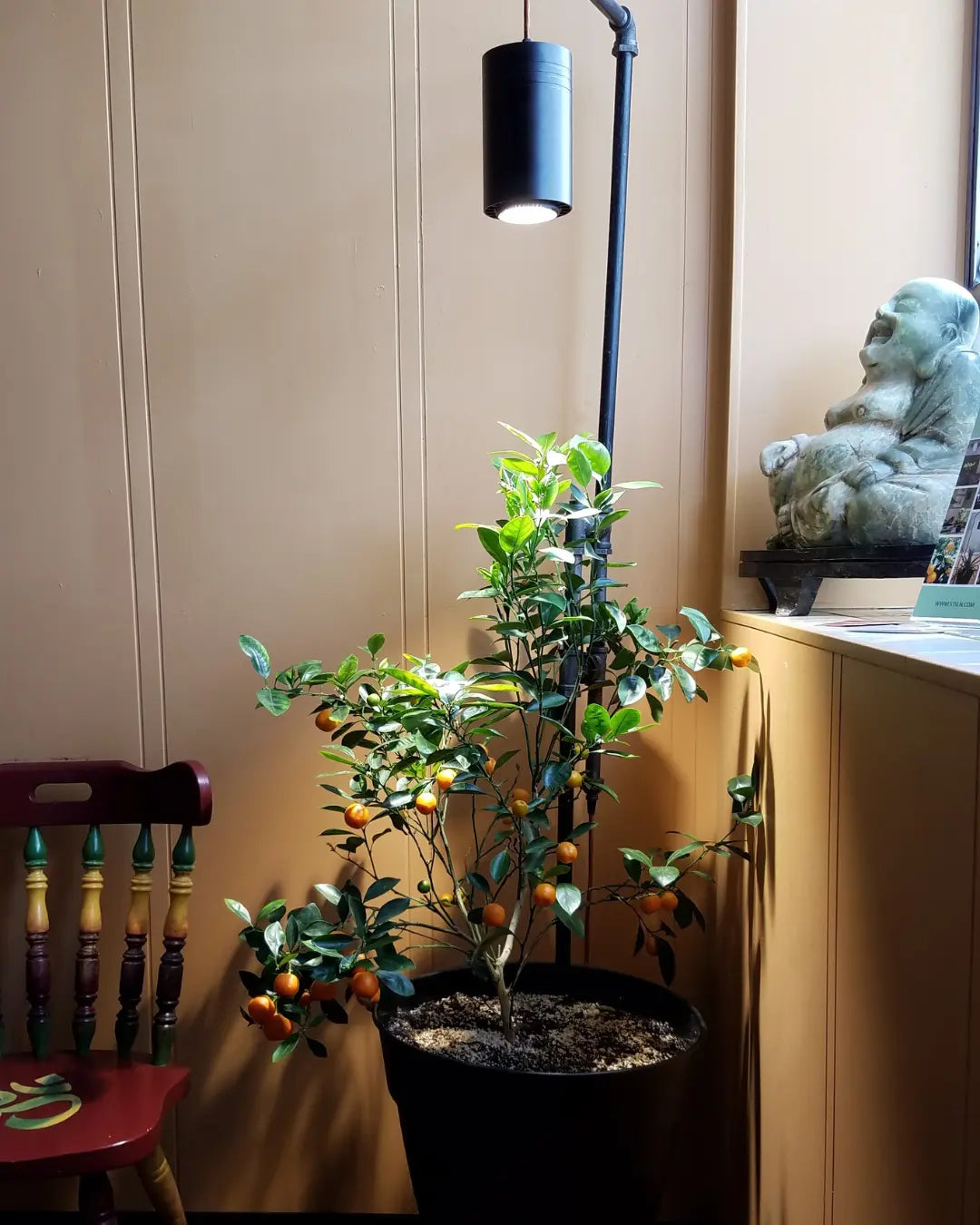 5 Spaces in Your Home You Didn’t Know Could Support Plants