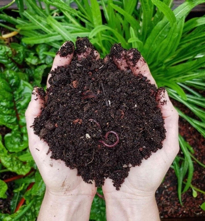 Potting Mix - The Easy Guide To Indoor Plant Potting Soil