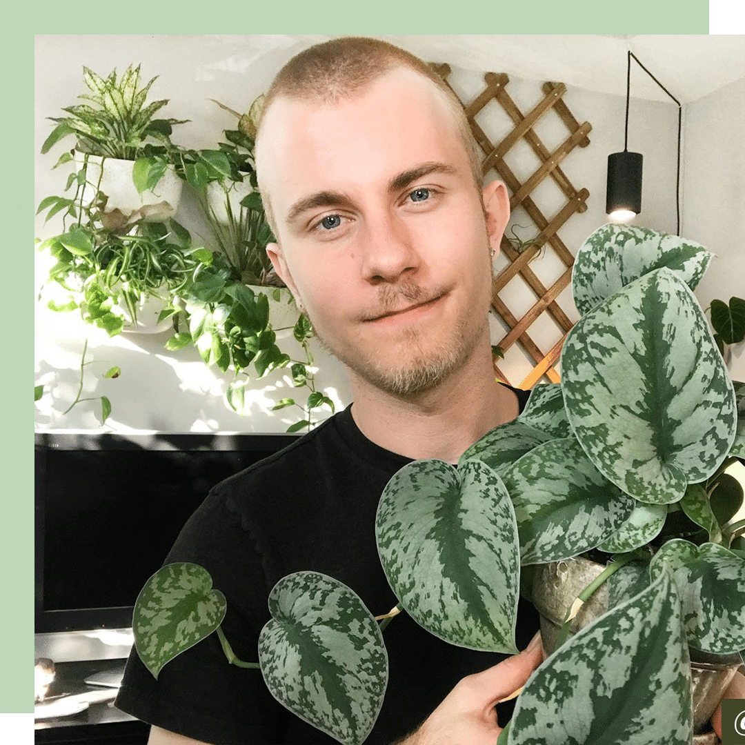 Nick Pileggi | Getting Started with Houseplants & Pet Parenting Tips | Wine Down the Week Ep 2