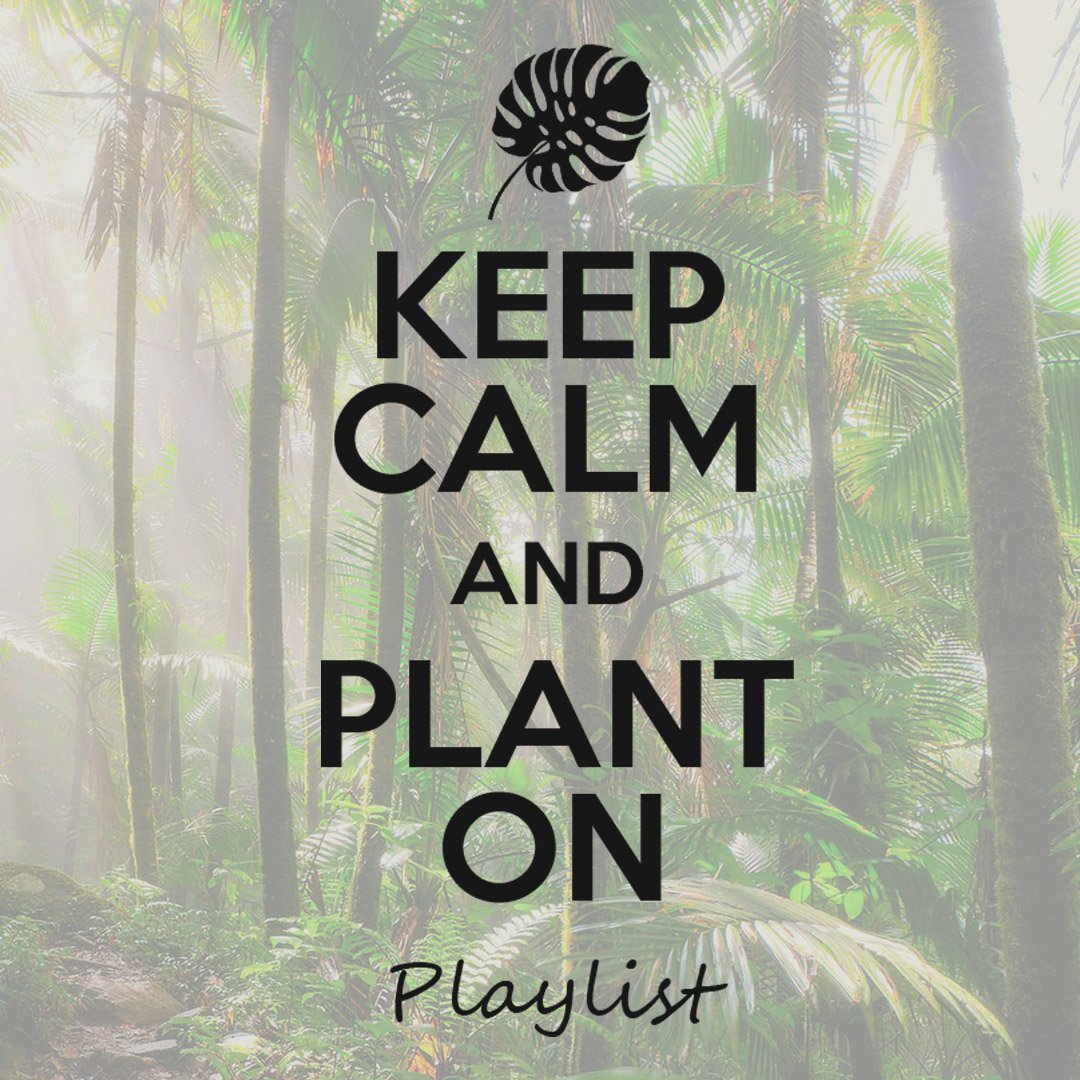Official 2020 Plant Playlist for You and Your Plants!