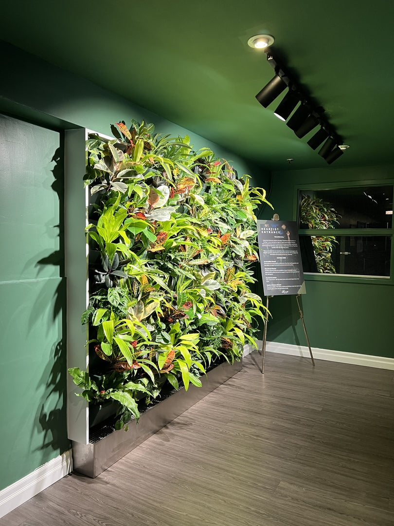 Embracing Winter's Touch: Your Living Wall's Cold Weather Journey