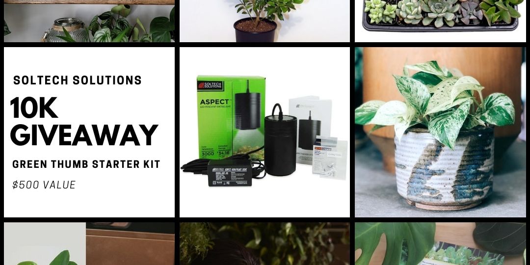 10K Green Thumb Starter Kit Giveaway
