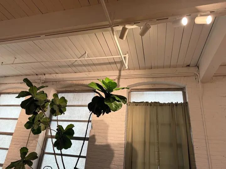 Breathe Better to Work Better: The Science of Office Air Purification