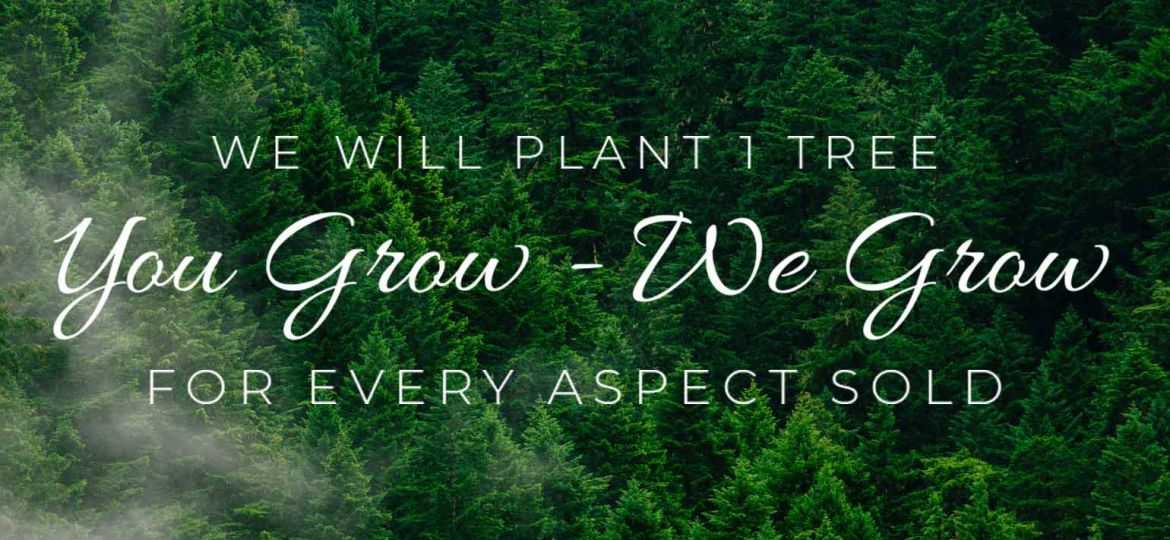 Why Every Aspect Plants 1 Tree This Month