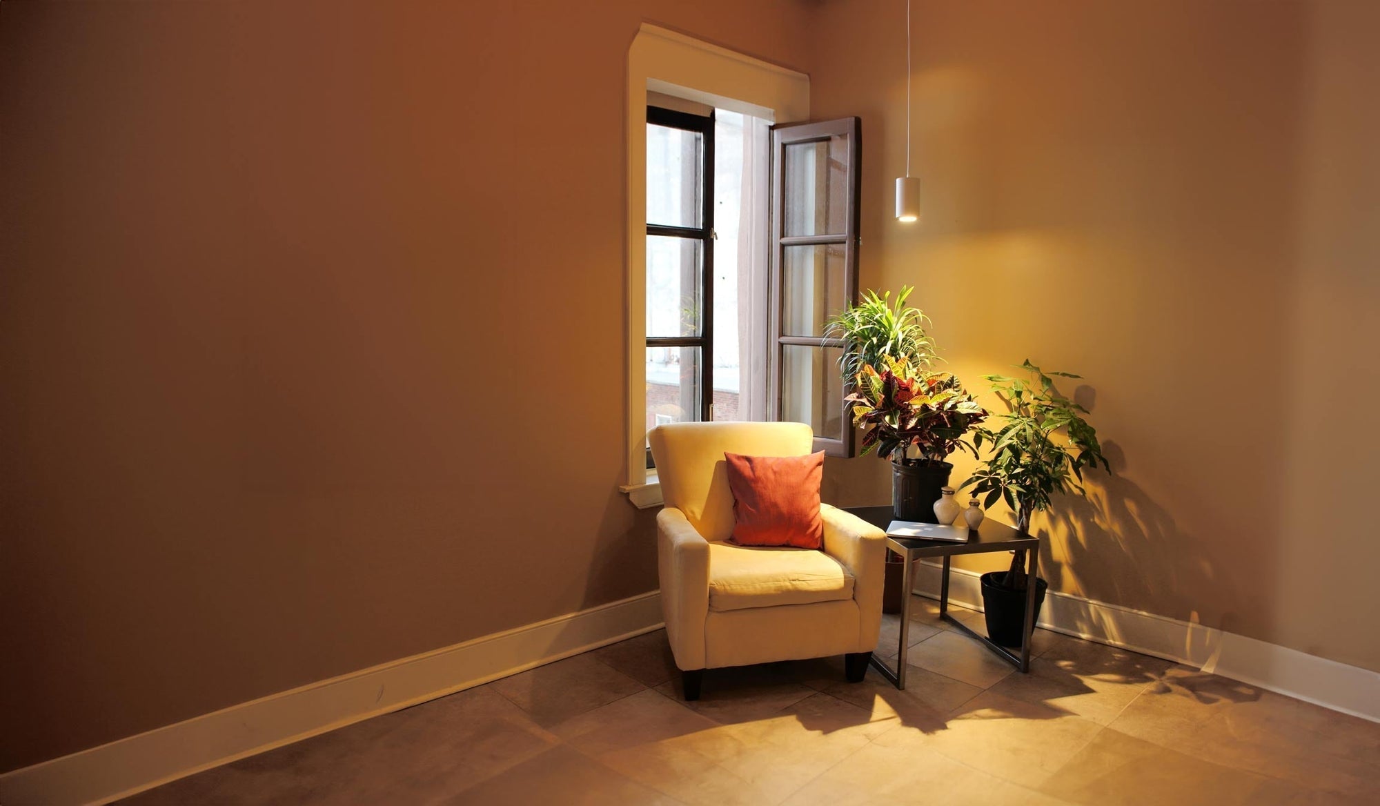 How to Style Plants in Any Interior Design Style