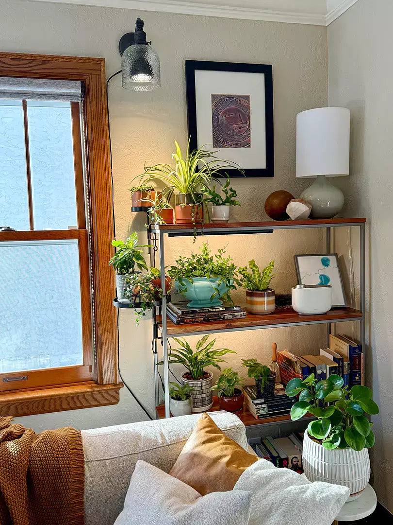 5 Unexpected Places to Style Indoor Plants in Your Apartment (And the Lights That Will Keep Them Thriving)