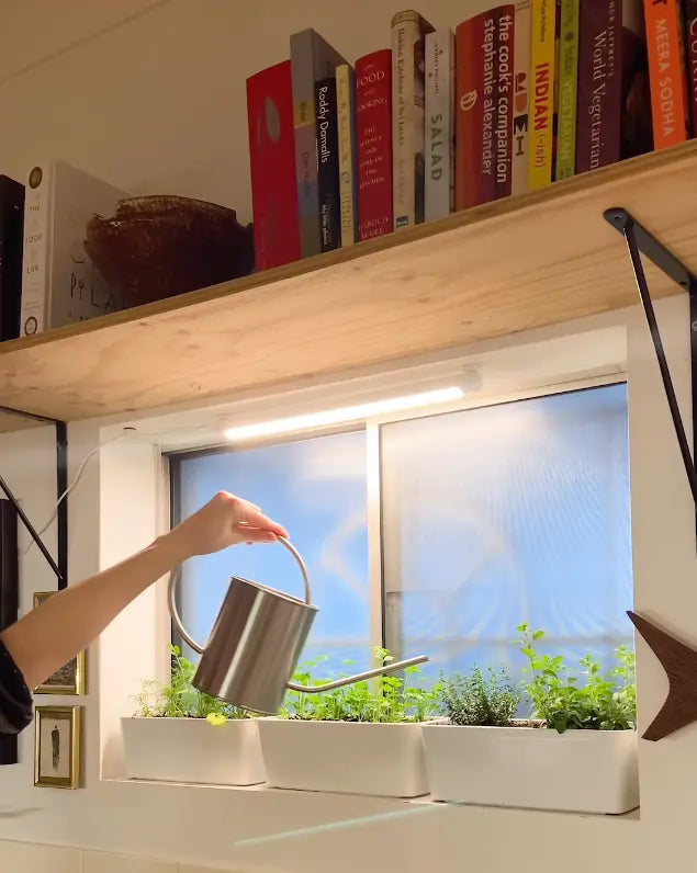 How to Water Houseplants Correctly: The Most Common Mistake Plant Parents Make