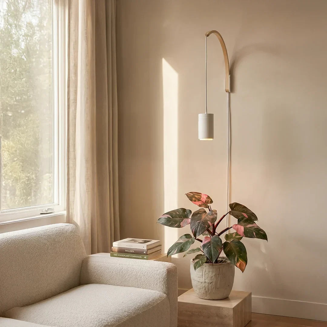 What's the Difference Between Direct and Indirect Light (and Why Your Plant Cares)?