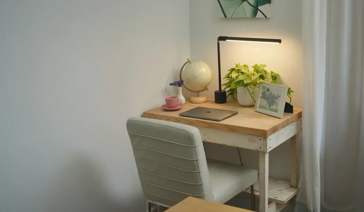 Best Houseplants for Apartments: Your Guide to Small-Space Greenery