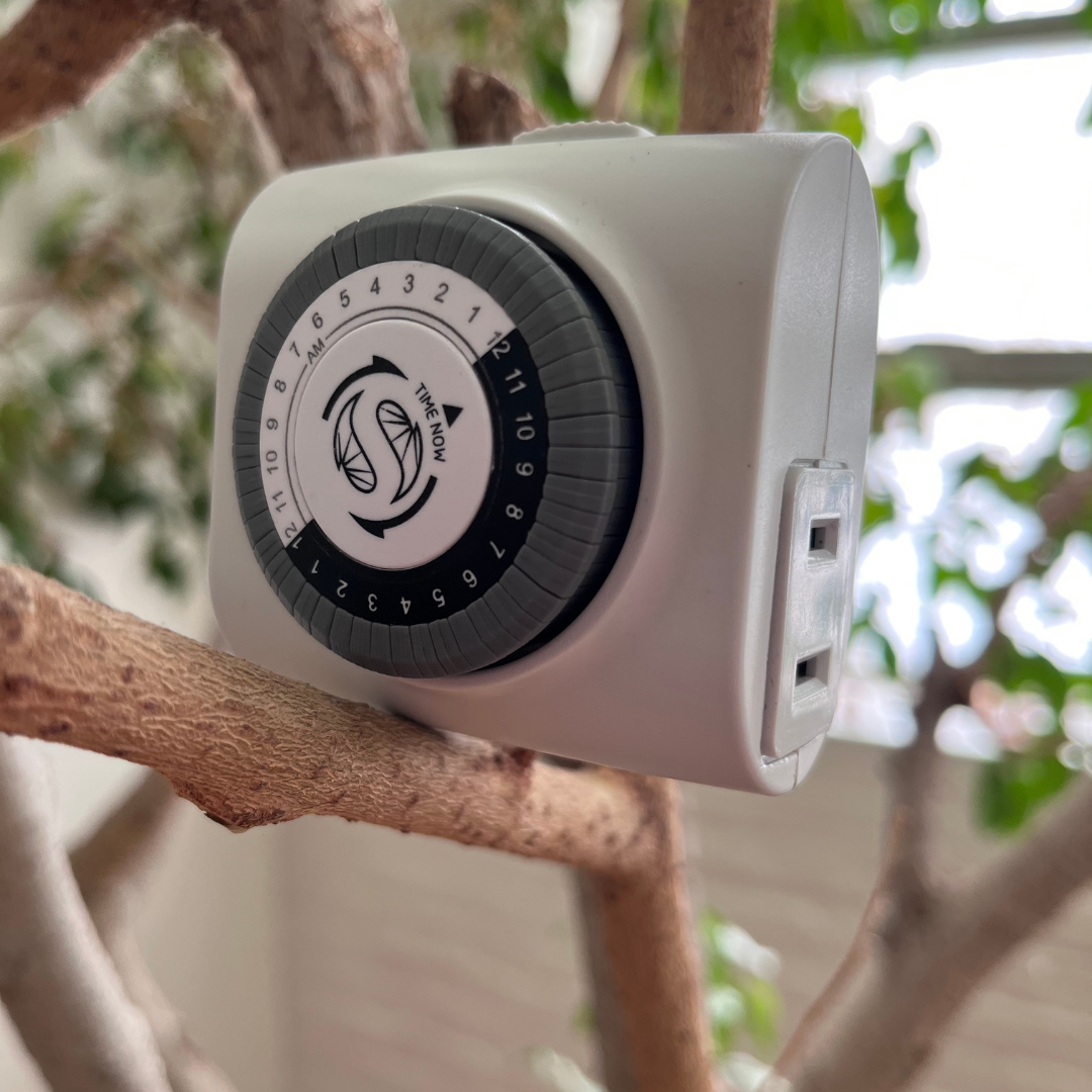 How Do You Put Your Grow Lights on a Routine That Fits Your Life?