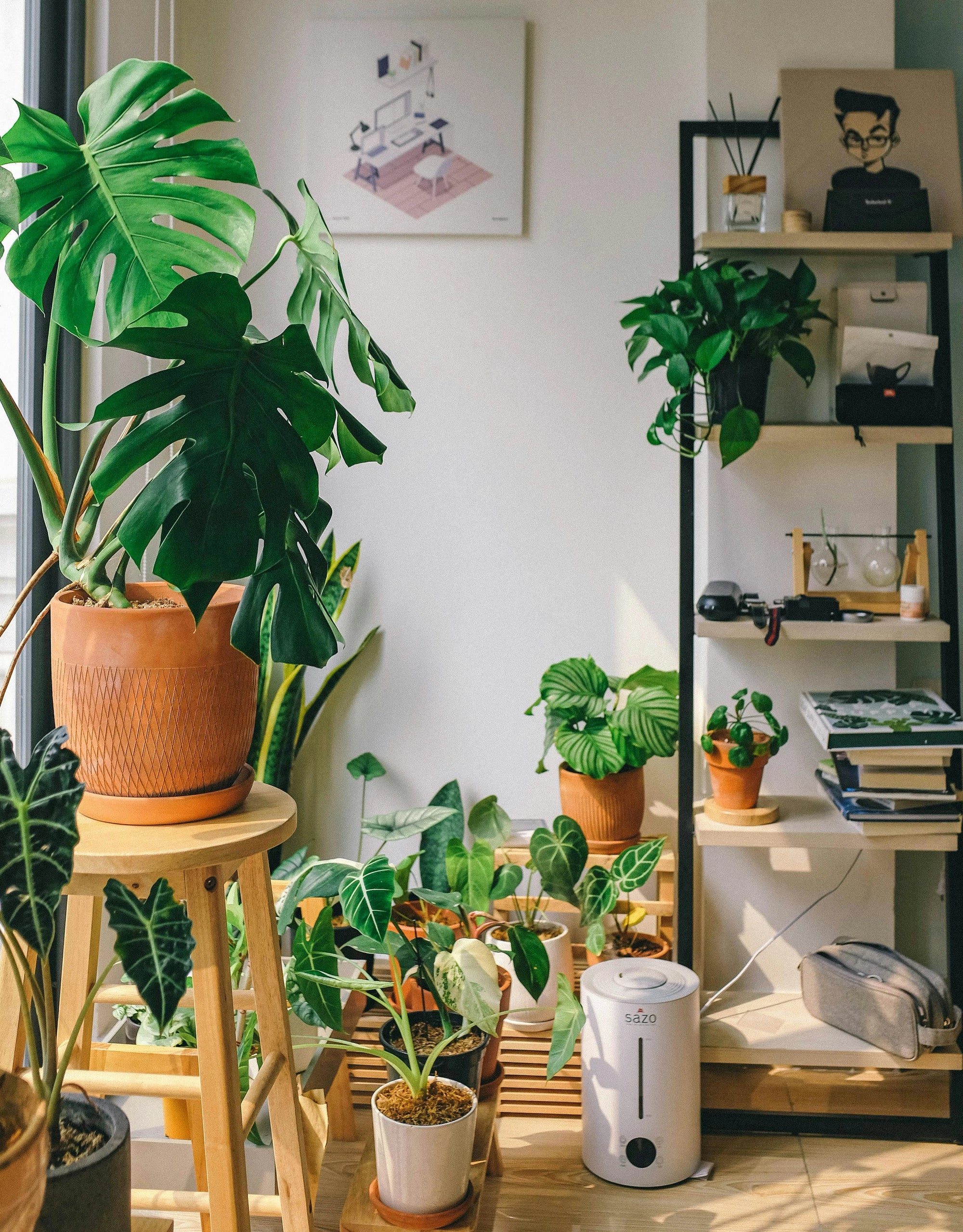Spring Sunroom Sanctuary: 2026 Houseplant Decor Trends