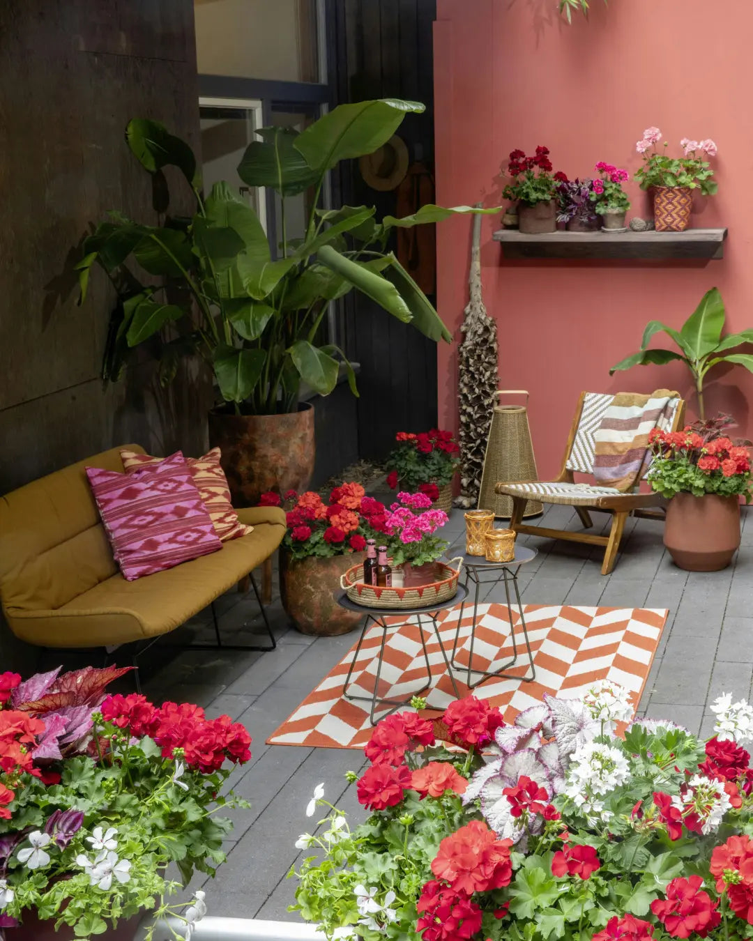 Get a Head Start: 3 Plants to Grow Now for a Styled Summer Patio