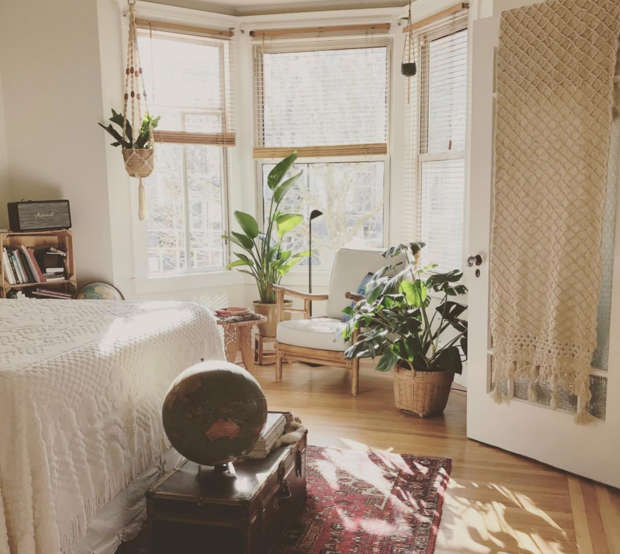 How to Create a Cozy Reading Nook with Houseplants: A Step-by-Step Guide