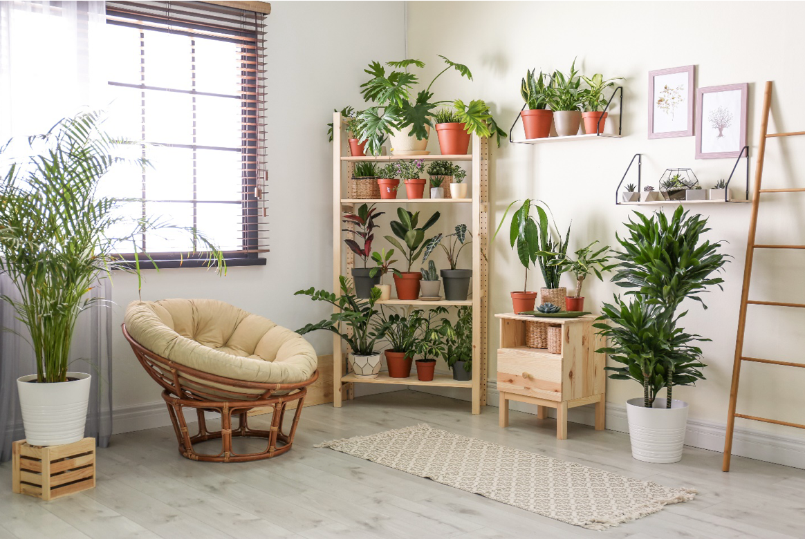 The Art of Indoor Plant Arrangements: Transforming Your Home into a Green Oasis