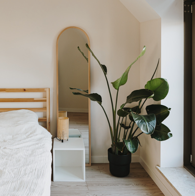 Nordic Comfort Meets Greenery: How to Create an Inviting Indoor Jungle