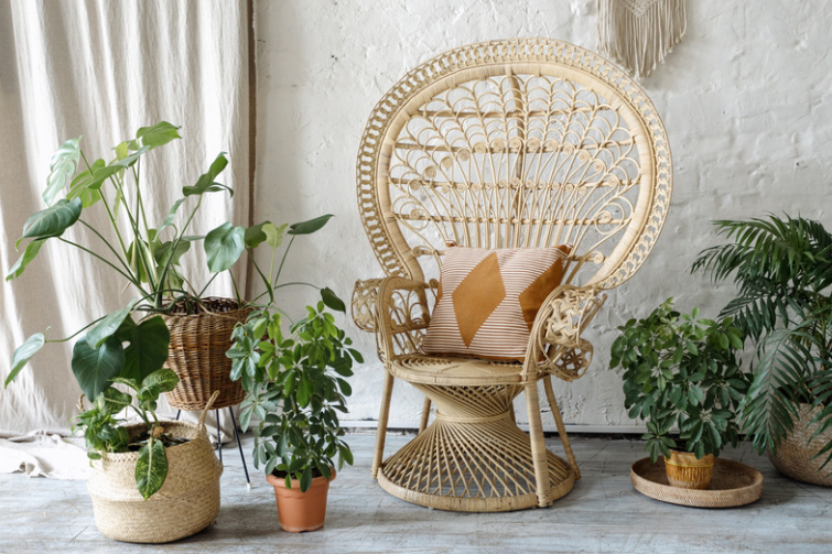 Create Your Own Green Sanctuary: 6 Tips for Designing the Perfect Indoor Plant Display