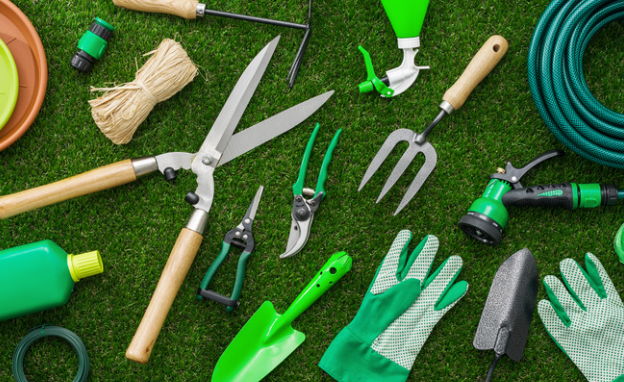 Top 10 Best Tools and Equipment for Plant Lovers