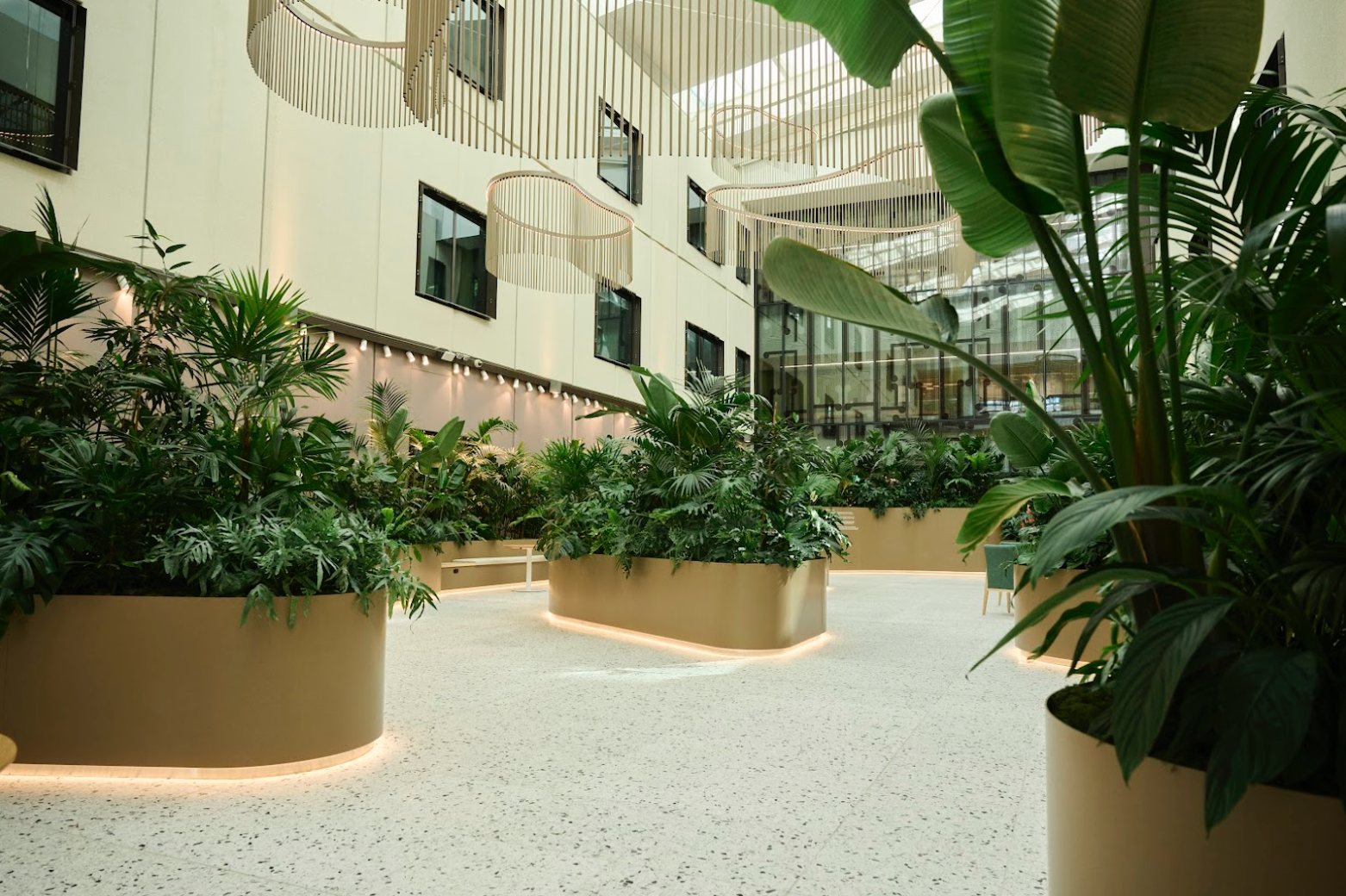 A Visionary Healing Garden for Hospitals: Soltech and Outside In Colla