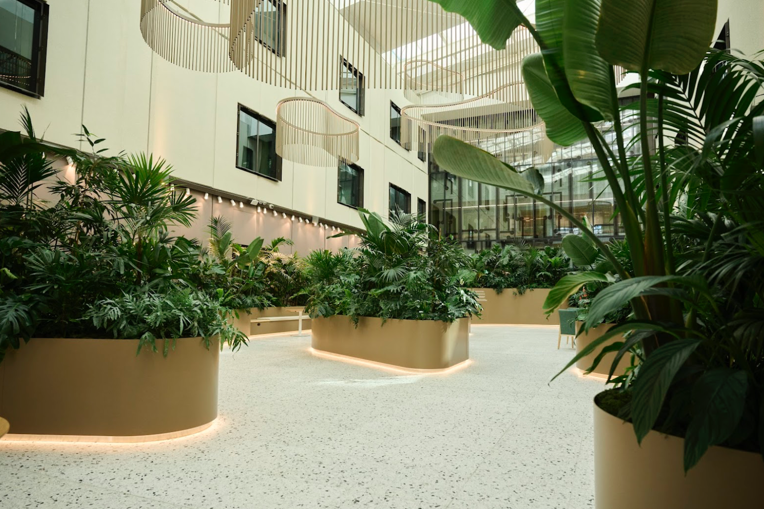 A Visionary Healing Garden for Hospitals: Soltech and Outside In Collaborate