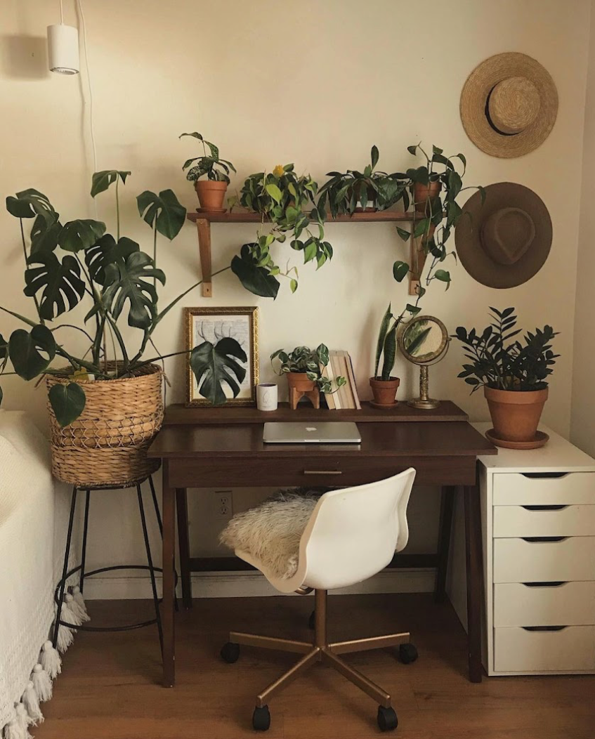 Transform Your Home Office: Plants and Grow Lights for Productivity and Style