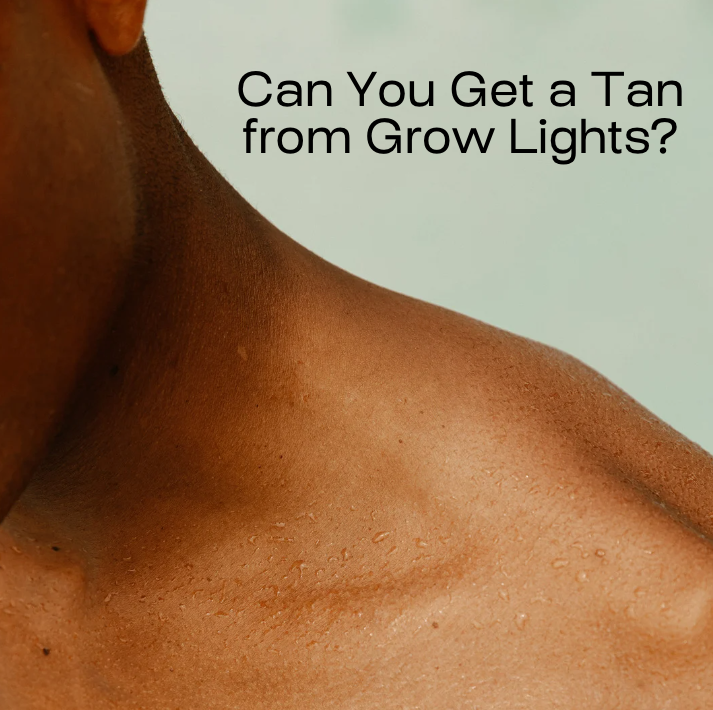 Can You Tan Under Soltech Grow Lights?