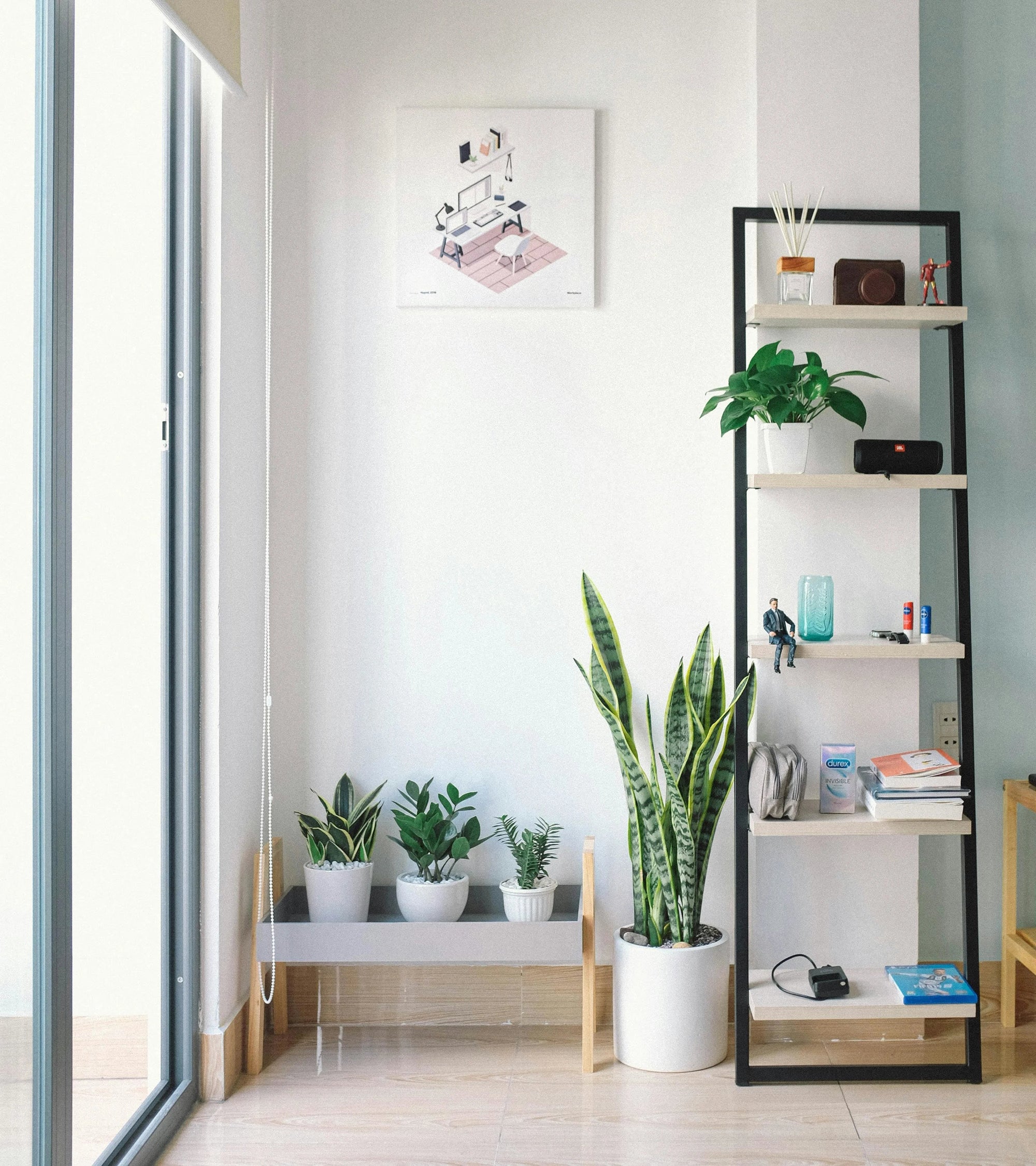 The Art of Indoor Plant Arrangements: Transforming Your Home into a Green Oasis