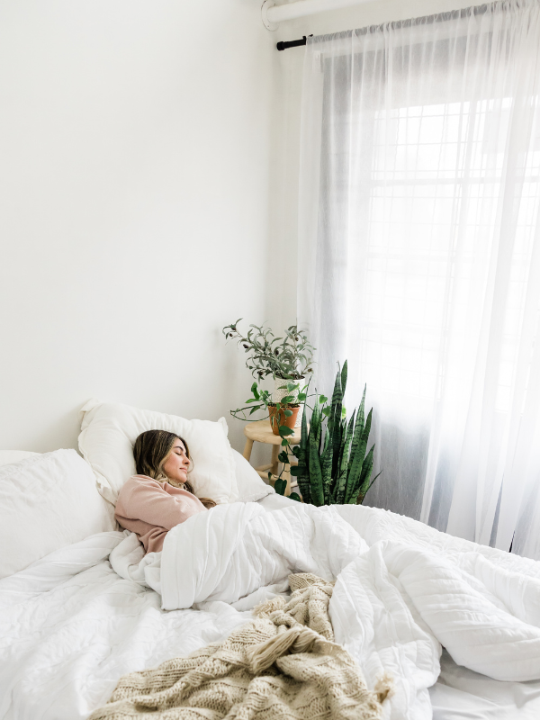 Improving Sleep with Houseplants and Healthier Light