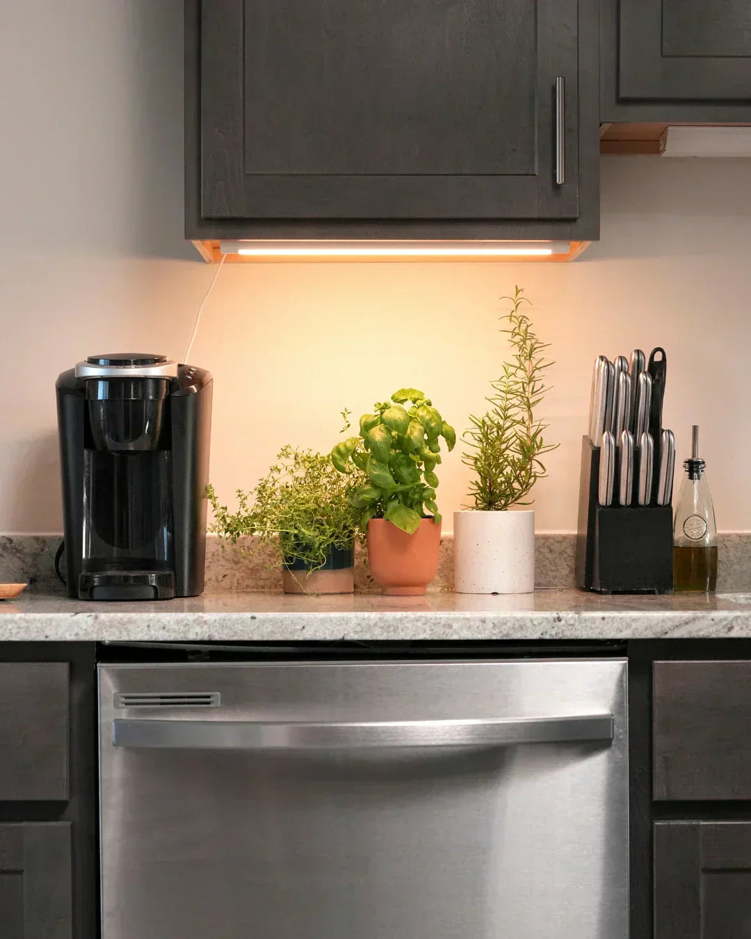 How to Add Plants to a Kitchen With Zero Counter Space