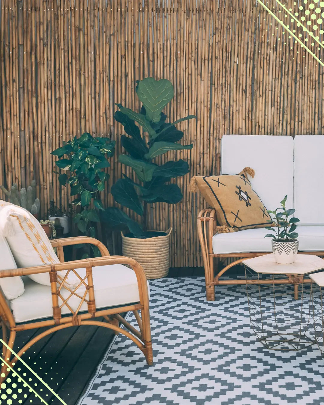 Should You Move Your Houseplants Outside This Summer?