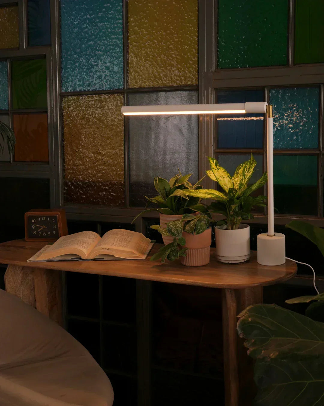 The Essential Plant Parent Handbook: Advice for Indoor Gardening Success