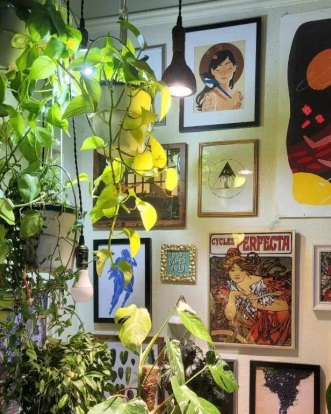 The Ultimate Guide to Curating an Aesthetic Houseplant Setup